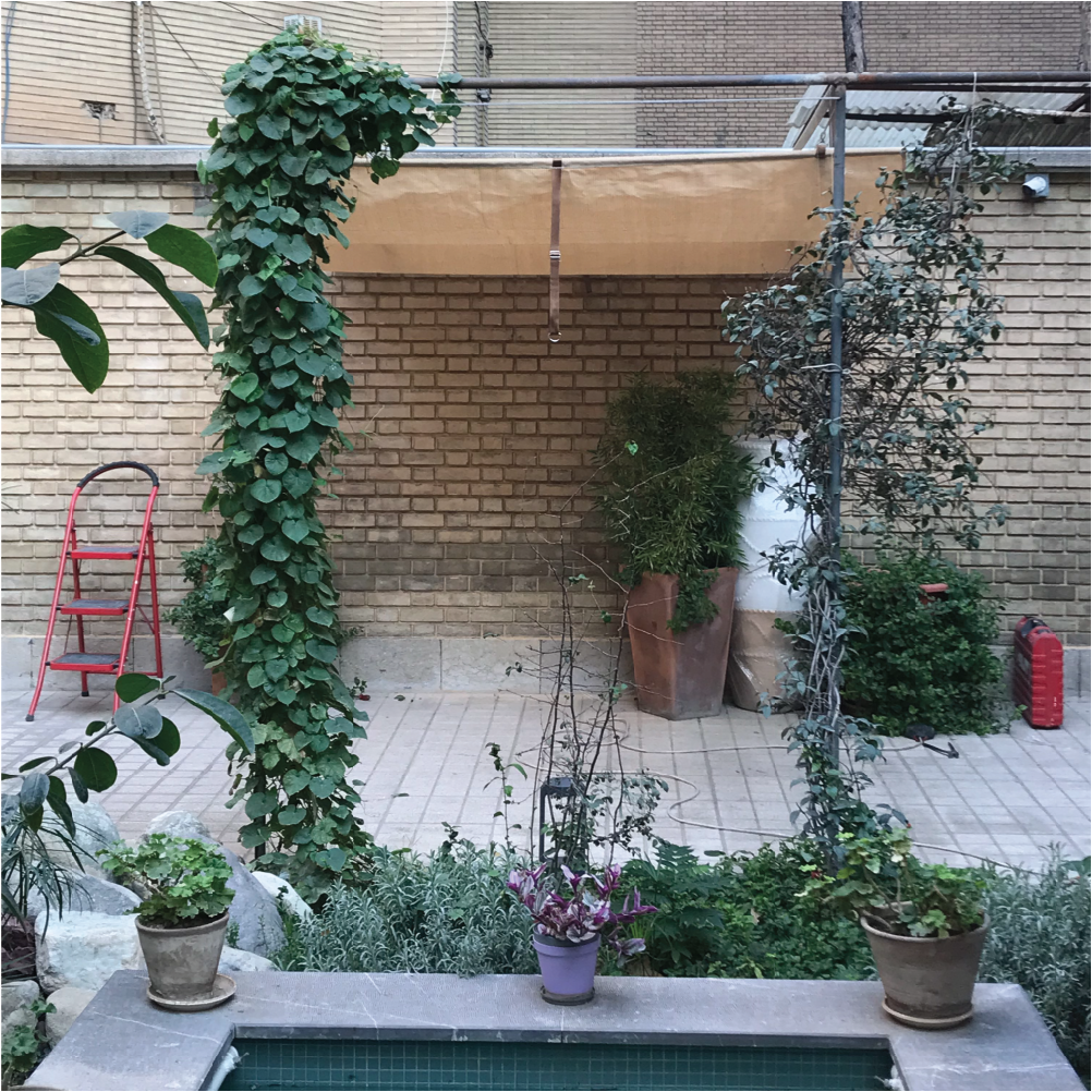 محصول ولاریوم دستی -پروژه خانه فروتن